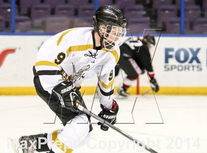 Thumbnail 1 in Rockwood Summit vs. Lafayette (Wickenheiser Cup Final) photogallery.
