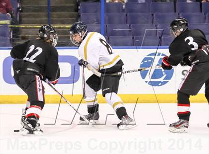 Thumbnail 1 in Rockwood Summit vs. Lafayette (Wickenheiser Cup Final) photogallery.