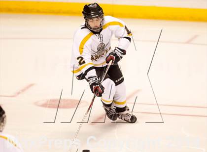 Thumbnail 2 in Rockwood Summit vs. Lafayette (Wickenheiser Cup Final) photogallery.