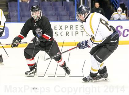 Thumbnail 1 in Rockwood Summit vs. Lafayette (Wickenheiser Cup Final) photogallery.