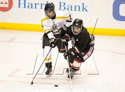 Thumbnail 2 in Rockwood Summit vs. Lafayette (Wickenheiser Cup Final) photogallery.