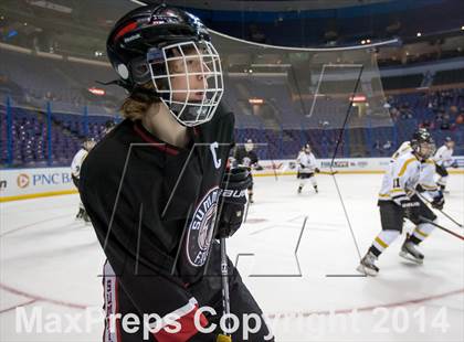 Thumbnail 3 in Rockwood Summit vs. Lafayette (Wickenheiser Cup Final) photogallery.