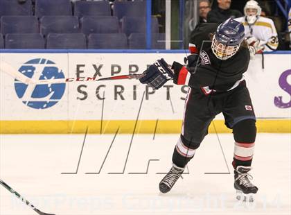 Thumbnail 1 in Rockwood Summit vs. Lafayette (Wickenheiser Cup Final) photogallery.
