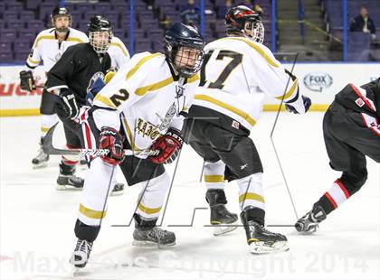 Thumbnail 1 in Rockwood Summit vs. Lafayette (Wickenheiser Cup Final) photogallery.
