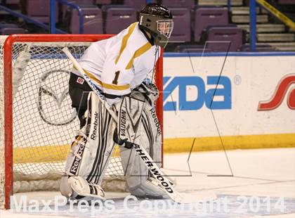 Thumbnail 1 in Rockwood Summit vs. Lafayette (Wickenheiser Cup Final) photogallery.