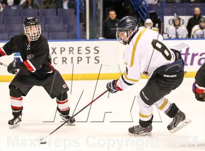 Thumbnail 3 in Rockwood Summit vs. Lafayette (Wickenheiser Cup Final) photogallery.