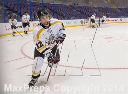 Thumbnail 1 in Rockwood Summit vs. Lafayette (Wickenheiser Cup Final) photogallery.