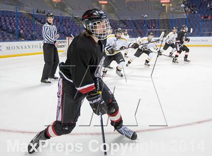 Thumbnail 2 in Rockwood Summit vs. Lafayette (Wickenheiser Cup Final) photogallery.