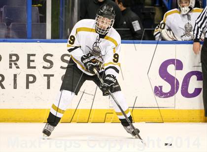 Thumbnail 3 in Rockwood Summit vs. Lafayette (Wickenheiser Cup Final) photogallery.