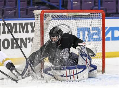 Thumbnail 1 in Rockwood Summit vs. Lafayette (Wickenheiser Cup Final) photogallery.