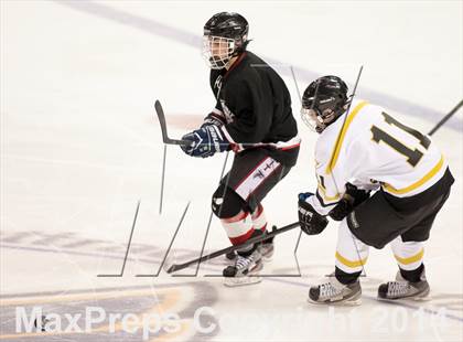 Thumbnail 2 in Rockwood Summit vs. Lafayette (Wickenheiser Cup Final) photogallery.