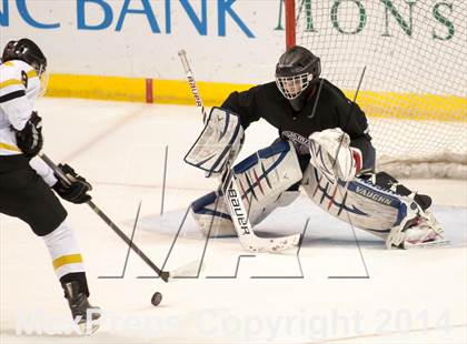 Thumbnail 2 in Rockwood Summit vs. Lafayette (Wickenheiser Cup Final) photogallery.
