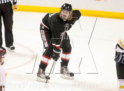 Thumbnail 1 in Rockwood Summit vs. Lafayette (Wickenheiser Cup Final) photogallery.