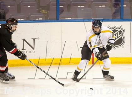 Thumbnail 1 in Rockwood Summit vs. Lafayette (Wickenheiser Cup Final) photogallery.