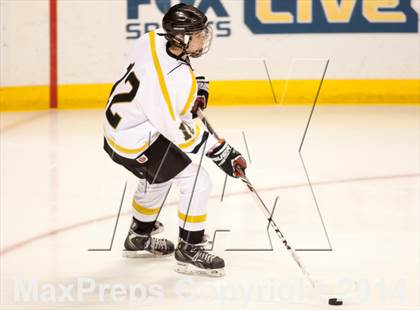 Thumbnail 1 in Rockwood Summit vs. Lafayette (Wickenheiser Cup Final) photogallery.