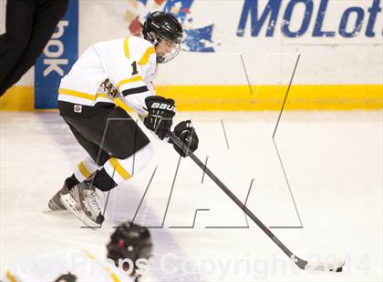 Thumbnail 3 in Rockwood Summit vs. Lafayette (Wickenheiser Cup Final) photogallery.