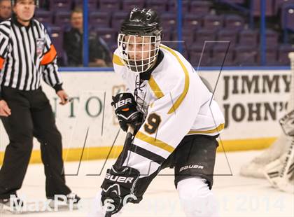 Thumbnail 1 in Rockwood Summit vs. Lafayette (Wickenheiser Cup Final) photogallery.