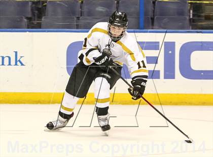 Thumbnail 2 in Rockwood Summit vs. Lafayette (Wickenheiser Cup Final) photogallery.