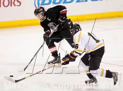 Thumbnail 2 in Rockwood Summit vs. Lafayette (Wickenheiser Cup Final) photogallery.
