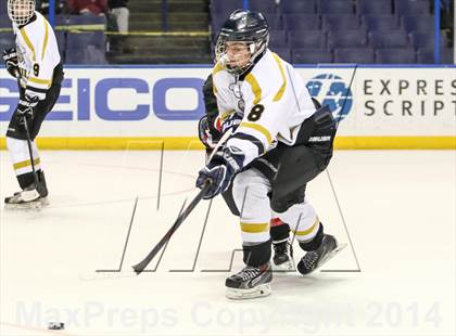 Thumbnail 1 in Rockwood Summit vs. Lafayette (Wickenheiser Cup Final) photogallery.