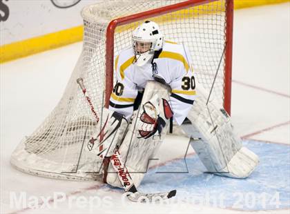 Thumbnail 3 in Rockwood Summit vs. Lafayette (Wickenheiser Cup Final) photogallery.