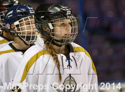 Thumbnail 1 in Rockwood Summit vs. Lafayette (Wickenheiser Cup Final) photogallery.