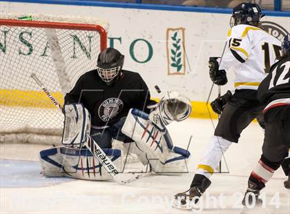 Thumbnail 3 in Rockwood Summit vs. Lafayette (Wickenheiser Cup Final) photogallery.