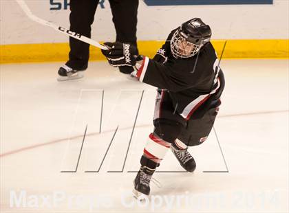 Thumbnail 1 in Rockwood Summit vs. Lafayette (Wickenheiser Cup Final) photogallery.