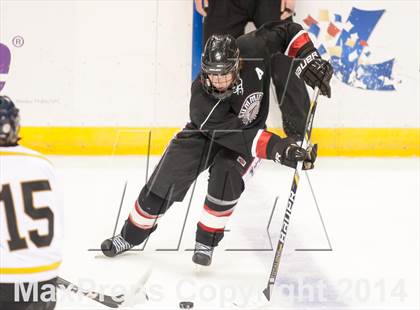 Thumbnail 2 in Rockwood Summit vs. Lafayette (Wickenheiser Cup Final) photogallery.