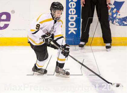Thumbnail 3 in Rockwood Summit vs. Lafayette (Wickenheiser Cup Final) photogallery.