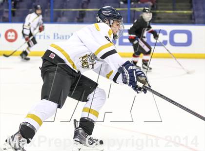 Thumbnail 1 in Rockwood Summit vs. Lafayette (Wickenheiser Cup Final) photogallery.