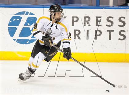 Thumbnail 3 in Rockwood Summit vs. Lafayette (Wickenheiser Cup Final) photogallery.