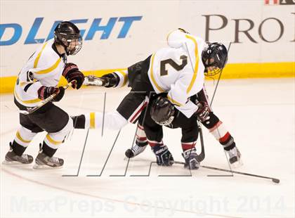 Thumbnail 3 in Rockwood Summit vs. Lafayette (Wickenheiser Cup Final) photogallery.