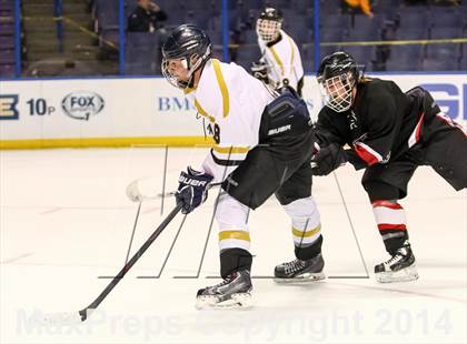 Thumbnail 1 in Rockwood Summit vs. Lafayette (Wickenheiser Cup Final) photogallery.