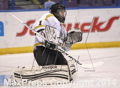 Thumbnail 3 in Rockwood Summit vs. Lafayette (Wickenheiser Cup Final) photogallery.