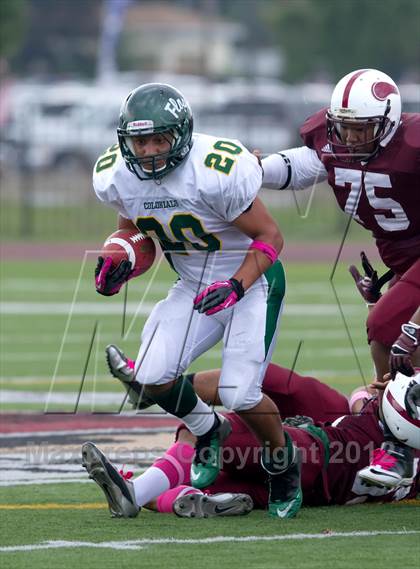 Thumbnail 3 in William Floyd @ Bay Shore photogallery.