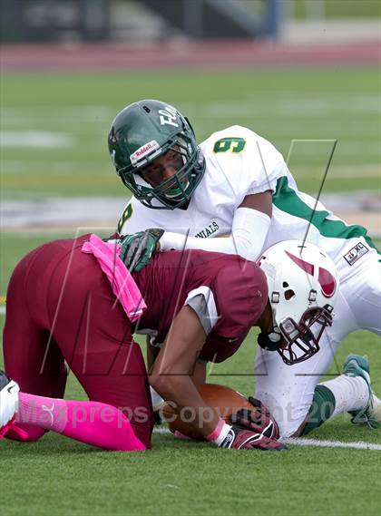 Thumbnail 3 in William Floyd @ Bay Shore photogallery.