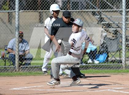 Thumbnail 3 in Rosemead @ Arroyo photogallery.