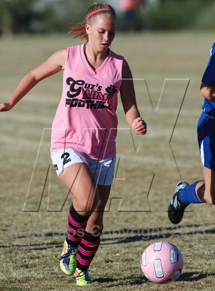 Thumbnail 1 in Basic @ Foothill photogallery.
