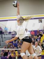 Photo from the gallery "Amanda-Clearcreek @ Bloom-Carroll"