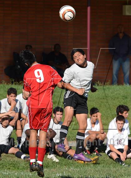 Thumbnail 2 in Ripon @ West Campus (CIF SJS D5 Playoff) photogallery.