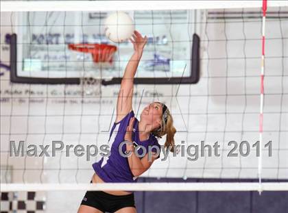 Thumbnail 3 in Chico @ Shasta photogallery.