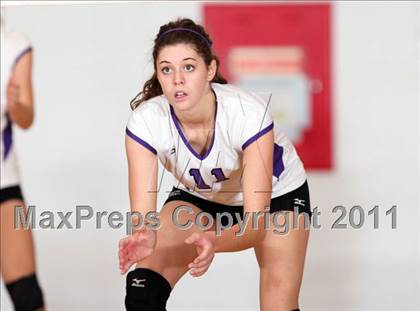 Thumbnail 3 in Chico @ Shasta photogallery.