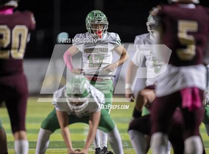 Thumbnail 2 in Musselman @ Jefferson photogallery.