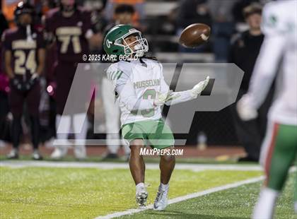 Thumbnail 1 in Musselman @ Jefferson photogallery.