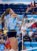 Photo from the gallery "Robinson @ China Spring"