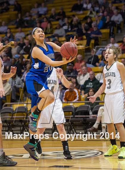 Thumbnail 2 in Fossil Ridge vs. Grandview (CHSAA 5A Semifinal) photogallery.