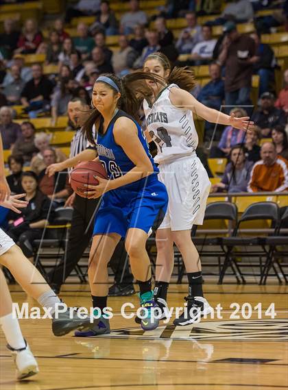 Thumbnail 1 in Fossil Ridge vs. Grandview (CHSAA 5A Semifinal) photogallery.