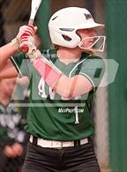 Photo from the gallery "Livonia @ Avon"