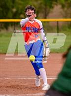 Photo from the gallery "Livonia @ Avon"